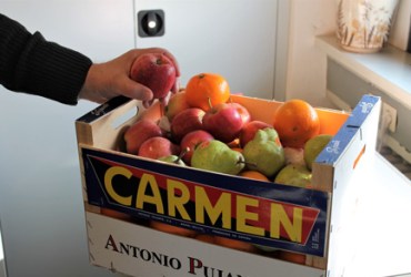 ein Mitarbeiter der koveb entnimmt kostenfreies Obst aus einer Obstkiste